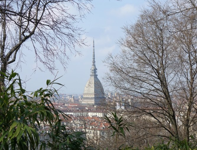 Annual Meeting and Conference – Turin 2015 (Italy)